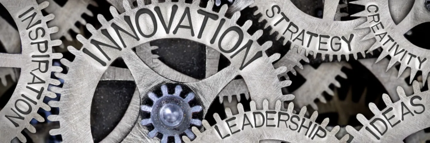 Innovation leadership and inspiration